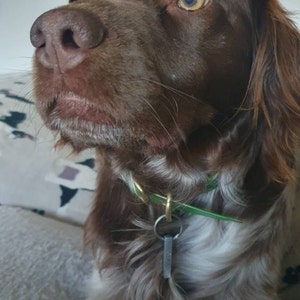 Charlotte heeft een foto van de aankoop toegevoegd