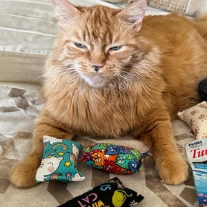 Bridgette added a photo of their purchase