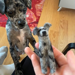 Liana added a photo of their purchase