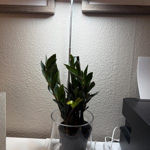 Jel added a photo of their purchase