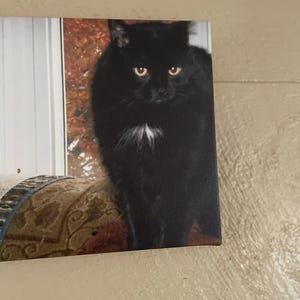 claudette added a photo of their purchase