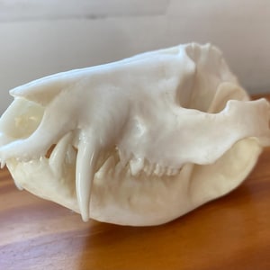 jon ha añadido una foto de su compra