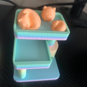 Leah added a photo of their purchase