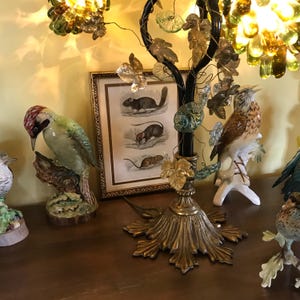 Sylvie added a photo of their purchase