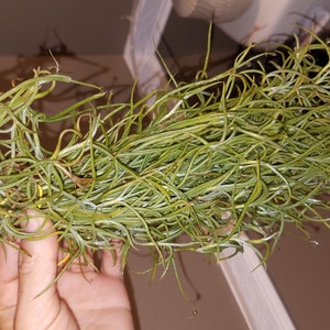 Sokunthea heeft een foto van zijn/haar aankoop toegevoegd