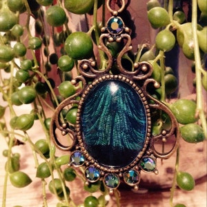 Julia added a photo of their purchase