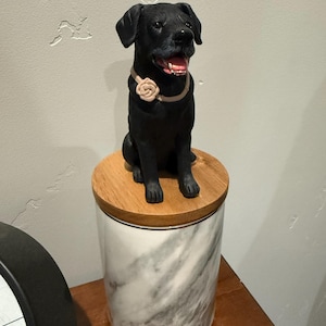 Kaitlin added a photo of their purchase