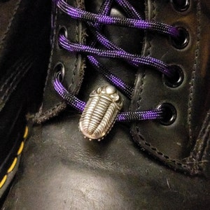 Haley added a photo of their purchase