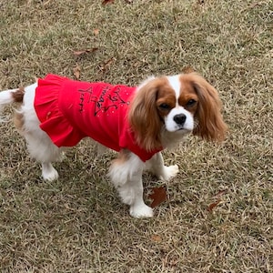 Kathy added a photo of their purchase
