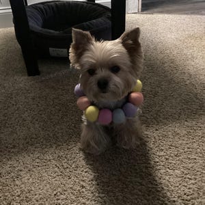 Erica added a photo of their purchase