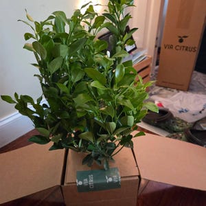 Mark added a photo of their purchase