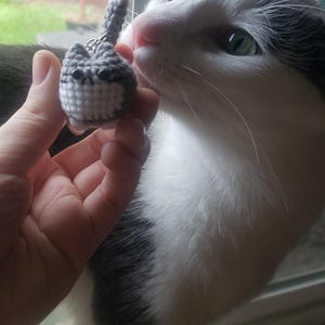 Carol added a photo of their purchase