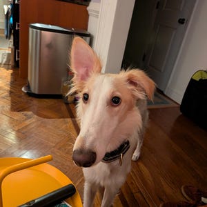 Erin added a photo of their purchase