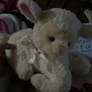 Pack De 2 Peluches De Oveja De 22 Cm – Felpa Súper Suave, Diseño De Dibujos Animados, Regalo Para Niños Y Decoración