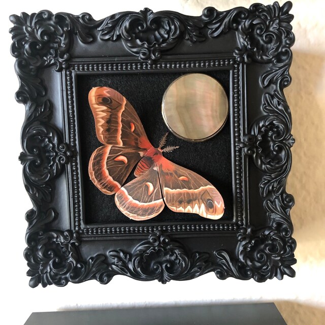 紙製の蛾の飾り、フェイクセクロピアと皇帝蛾のセット、「秋」の両面蝶