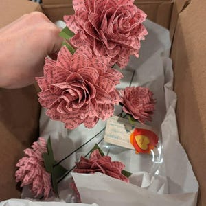 Aislynn added a photo of their purchase