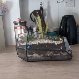 Laura added a photo of their purchase