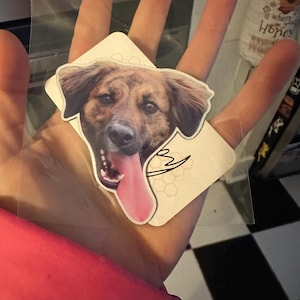 Lydia added a photo of their purchase
