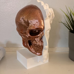 Shane ha añadido una foto de su compra
