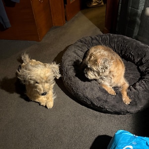 herbert added a photo of their purchase