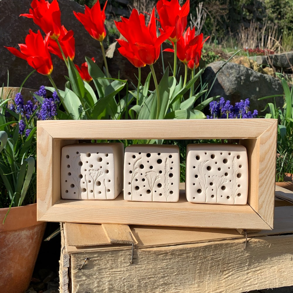 Bienensteine S mit Lärchenholzrahmen