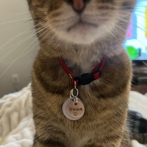 Jess added a photo of their purchase
