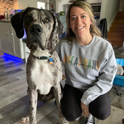 Bulldog Francese - Bouledogue Français: Informazioni Sulla Razza - Foto 2