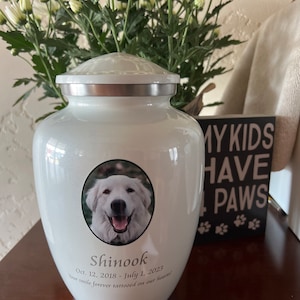 Evelyn added a photo of their purchase