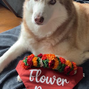 Noellé added a photo of their purchase