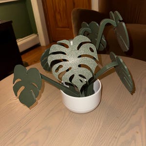 Lan added a photo of their purchase