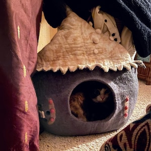 Brandy added a photo of their purchase
