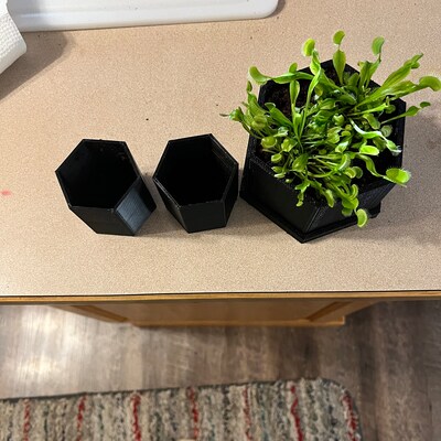 Digital SVG File of Gladiator Script - Etsy