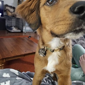 Jacqueline added a photo of their purchase