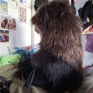 Alice added a photo of their purchase