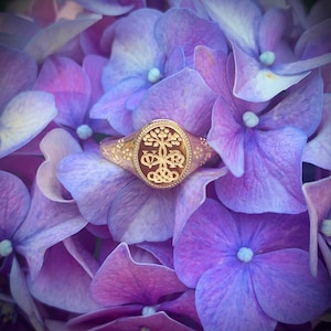venessa added a photo of their purchase