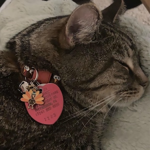 Jamie added a photo of their purchase