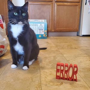 Stuart added a photo of their purchase