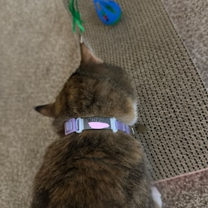 Arianna added a photo of their purchase