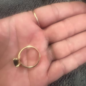 Lisa added a photo of their purchase