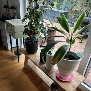 Dagmar added a photo of their purchase