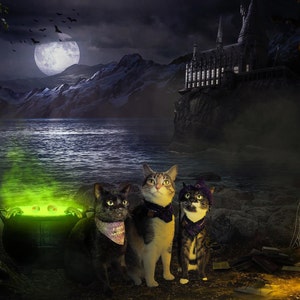 Jody added a photo of their purchase