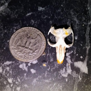 Brian added a photo of their purchase