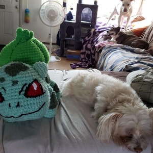 Angela added a photo of their purchase