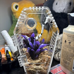 Katie added a photo of their purchase