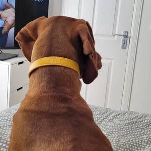davie added a photo of their purchase
