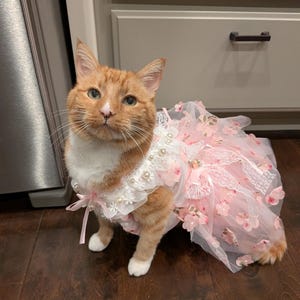 Cat Flower Dress Sakura Pink, Floral Fancy Tutu Dress for Cats and Dogs,  Wedding Birthday Cat Princess Costume Pets Clothes Custom Size - Etsy