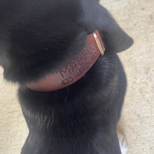 Carlie added a photo of their purchase