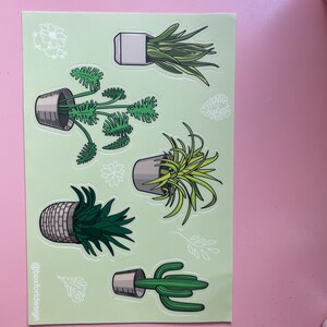 Aliya added a photo of their purchase