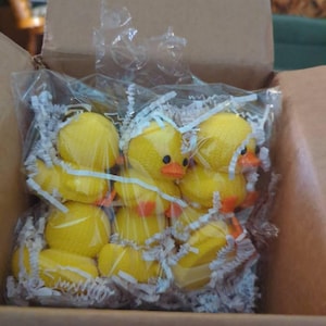 Barbara added a photo of their purchase
