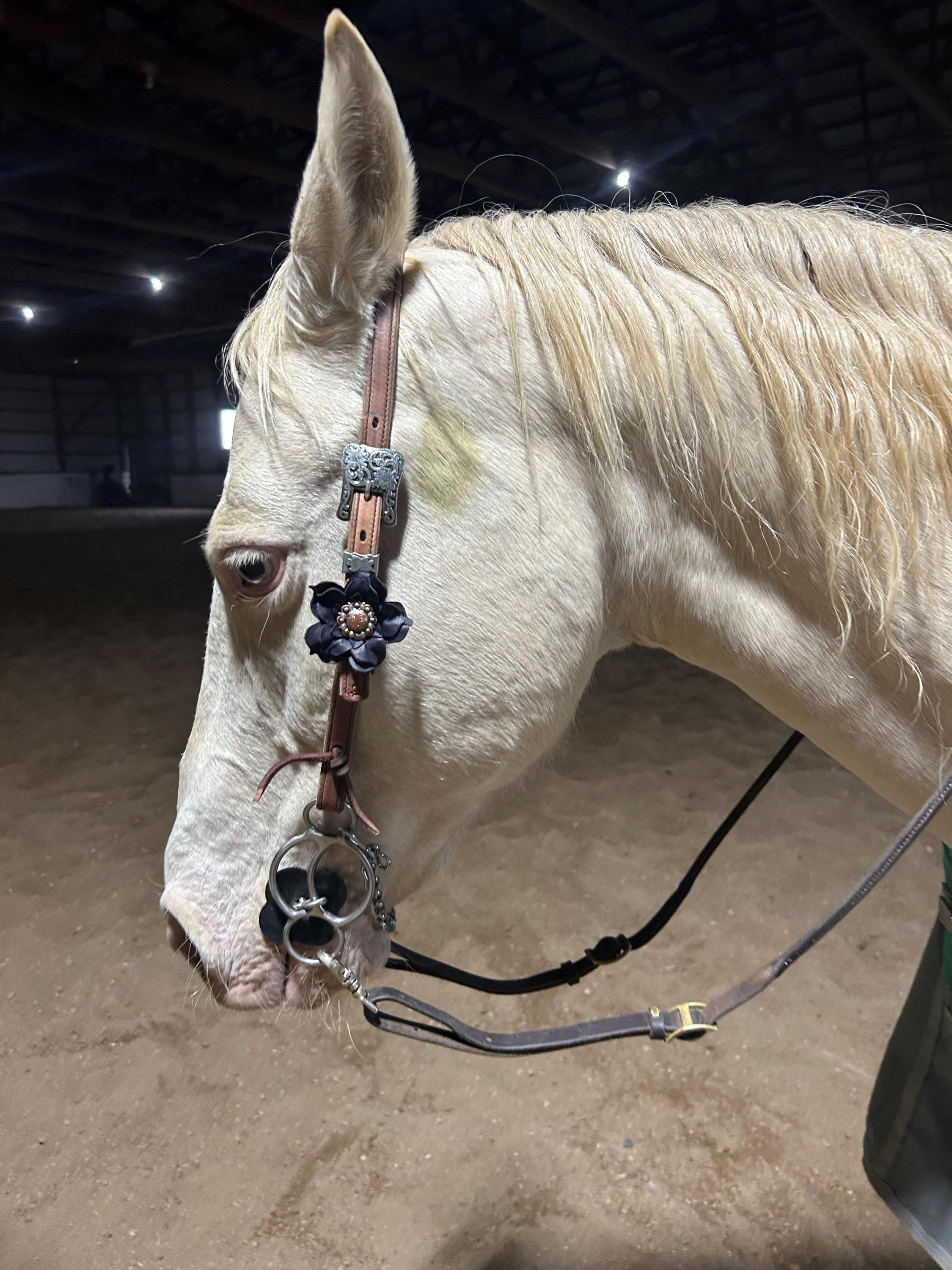 Butter Soft Headstall, Herman Oak Leather, Working Headstall, Western Headstall, USA Made, Handmade in Idaho
